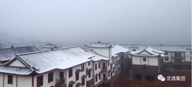 中国沈酒集团.png